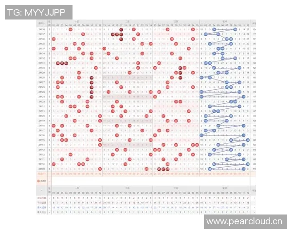 杭州飞盘队技术表现分析与数据洞察探讨